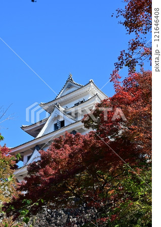 紅葉の季節と郡上八幡城 121646408