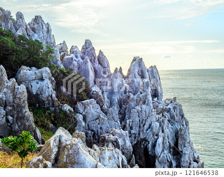 神島・ニワの浜にあるカルスト地形（三重県鳥羽市） 121646538