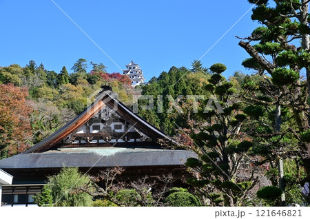 城下の寺社と郡上八幡城 121646821