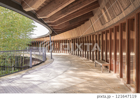 12月の牧野富太郎記念館 121647119