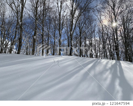 冬の森と雪景色 冬の森と雪景色 121647594