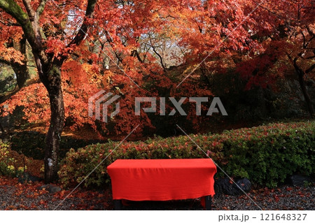 福岡県朝倉市秋月・秋月城址の紅葉 福岡県朝倉市秋月・秋月城址の紅葉 121648327