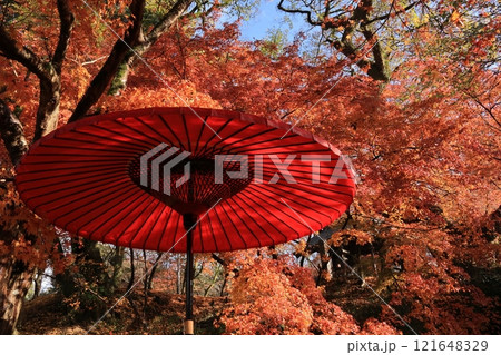 福岡県朝倉市秋月・秋月城址の紅葉 福岡県朝倉市秋月・秋月城址の紅葉 121648329