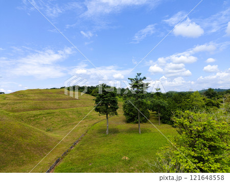 Rolling Green Hills under Blue Skies Rolling Green Hills under Blue Skies 121648558