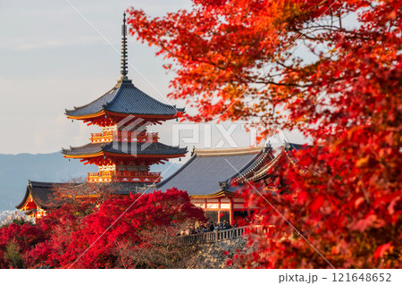 Kiyomizudera temple with red maple autumn leaves at sunset, Kyoto 121648652