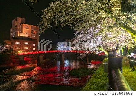 Red bridge light up with cherry sakura tree from Ureshino Onsen park Red bridge light up with cherry sakura tree from Ureshino Onsen park 121648668
