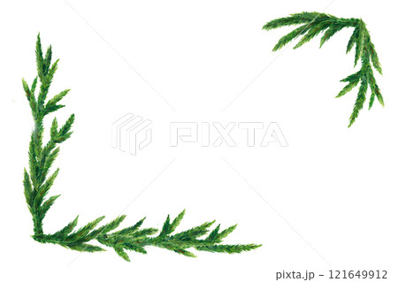Rectangular frame of delicate fir branches,...のイラスト素材 [121649912] - PIXTA