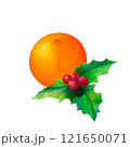 New Year Citrus decor. A watercolor depiction of orange or tangerine with green holly and red berry, Great for Christmas gift wrapping, product packaging, and branding. 121650071