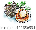 「帆立貝（ほたてがい）」の手書きイラスト（筆書き墨絵・水彩風） 121650534