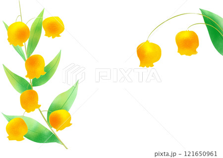 サンダーソニアの花のカード サンダーソニアの花のカード 121650961
