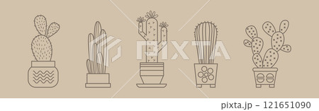 Cactus Succulent Plant Grow in Pot Line Vector Set 121651090