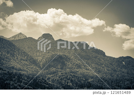 Wonderful wooded mountain and alpine panorama in Carinthia Austria. 121651489