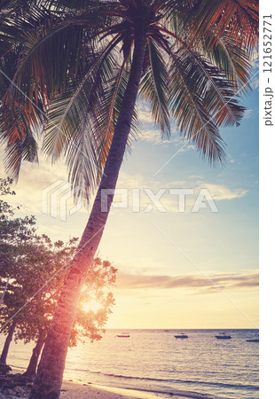 Silhouette of a coconut palm on the beach at sunset, color toning applied. 121652771