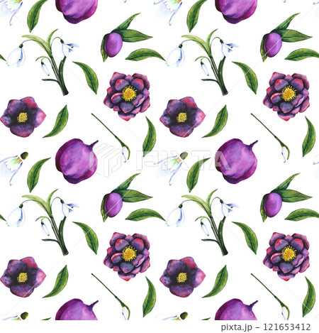 Hellebore black, snowdrop. Seamless pattern of watercolor elements on a transparent background. Hand drawn flowers, buds and leaves. Watercolor botanical work for invitations, textiles, paper products Hellebore black, snowdrop. Seamless pattern of watercolor elements on a transparent background. Hand drawn flowers, buds and leaves. Watercolor botanical work for invitations, textiles, paper products 121653412