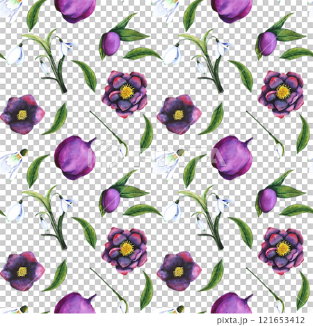 Hellebore black, snowdrop. Seamless pattern of watercolor elements on a transparent background. Hand drawn flowers, buds and leaves. Watercolor botanical work for invitations, textiles, paper products Hellebore black, snowdrop. Seamless pattern of watercolor elements on a transparent background. Hand drawn flowers, buds and leaves. Watercolor botanical work for invitations, textiles, paper products 121653412