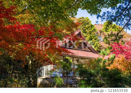聖宝寺　本堂　鳴谷山聖宝寺　紅葉の名所　いなべ市　三重県 121653530