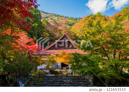 聖宝寺　本堂　鳴谷山聖宝寺　紅葉の名所　いなべ市　三重県 121653533