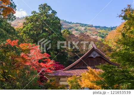 聖宝寺 本堂 鳴谷山聖宝寺 紅葉の名所 いなべ市 三重県 聖宝寺 本堂 鳴谷山聖宝寺 紅葉の名所 いなべ市 三重県 121653539