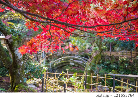 聖宝寺　庭園　鳴谷山聖宝寺　紅葉の名所　いなべ市　三重県 121653764