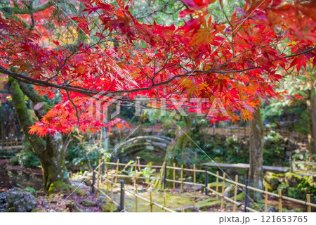 聖宝寺 庭園 鳴谷山聖宝寺 紅葉の名所 いなべ市 三重県 聖宝寺 庭園 鳴谷山聖宝寺 紅葉の名所 いなべ市 三重県 121653765