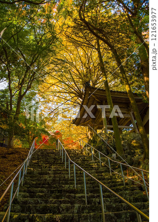 聖宝寺　鐘楼 　いちょうの木　鳴谷山聖宝寺　紅葉の名所　いなべ市　三重県 121653977