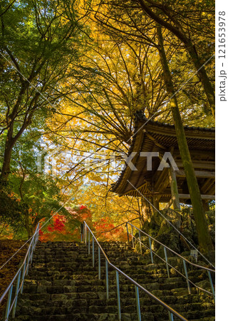 聖宝寺 鐘楼 いちょうの木 鳴谷山聖宝寺 紅葉の名所 いなべ市 三重県 聖宝寺 鐘楼 いちょうの木 鳴谷山聖宝寺 紅葉の名所 いなべ市 三重県 121653978