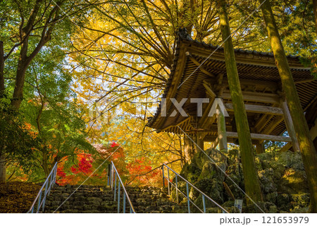 聖宝寺　鐘楼 　いちょうの木　鳴谷山聖宝寺　紅葉の名所　いなべ市　三重県 121653979