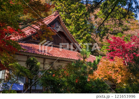 聖宝寺　本堂　鳴谷山聖宝寺　紅葉の名所　いなべ市　三重県 121653996