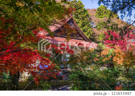 聖宝寺　本堂　鳴谷山聖宝寺　紅葉の名所　いなべ市　三重県 121653997