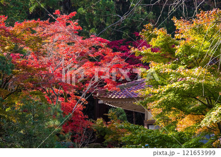 聖宝寺 本堂 鳴谷山聖宝寺 紅葉の名所 いなべ市 三重県 聖宝寺 本堂 鳴谷山聖宝寺 紅葉の名所 いなべ市 三重県 121653999