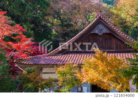 聖宝寺　本堂　鳴谷山聖宝寺　紅葉の名所　いなべ市　三重県 121654000