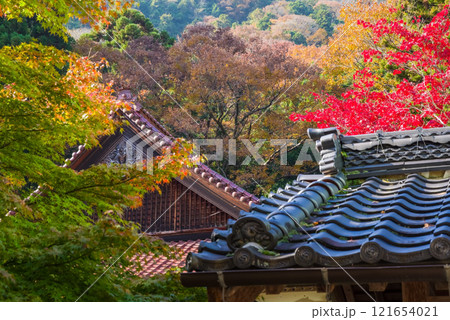 聖宝寺 本堂 鳴谷山聖宝寺 紅葉の名所 いなべ市 三重県 聖宝寺 本堂 鳴谷山聖宝寺 紅葉の名所 いなべ市 三重県 121654021