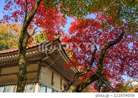 聖宝寺 本堂 鳴谷山聖宝寺 紅葉の名所 いなべ市 三重県 聖宝寺 本堂 鳴谷山聖宝寺 紅葉の名所 いなべ市 三重県 121654056