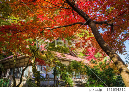 紅葉に包まれる聖宝寺 いなべ市 三重県 紅葉に包まれる聖宝寺 いなべ市 三重県 121654212
