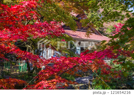 紅葉に包まれる聖宝寺　いなべ市　三重県 121654216