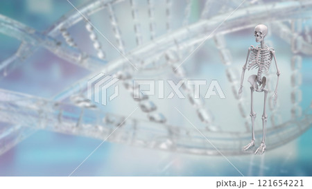 The Skeleton on black background for education or sci concept 3d rendering. The Skeleton on black background for education or sci concept 3d rendering. 121654221