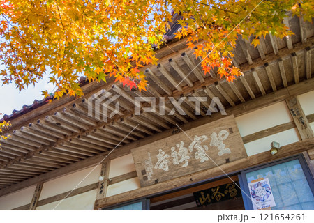聖宝寺　本堂　鳴谷山聖宝寺　紅葉の名所　いなべ市　三重県 121654261