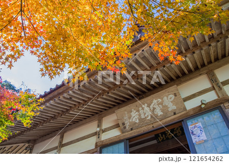 聖宝寺 本堂 鳴谷山聖宝寺 紅葉の名所 いなべ市 三重県 聖宝寺 本堂 鳴谷山聖宝寺 紅葉の名所 いなべ市 三重県 121654262