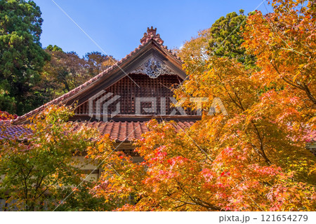 聖宝寺　本堂　鳴谷山聖宝寺　紅葉の名所　いなべ市　三重県 121654279