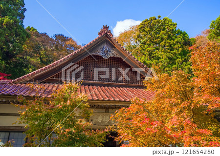 聖宝寺　本堂　鳴谷山聖宝寺　紅葉の名所　いなべ市　三重県 121654280