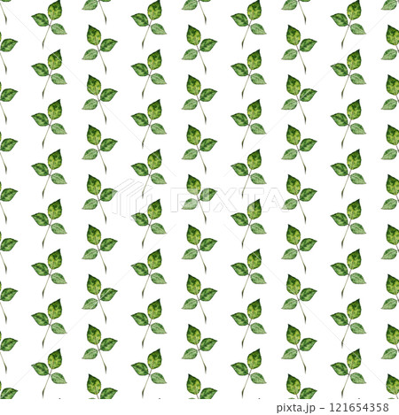 Rose leaf. Watercolor seamless pattern. Can be used for textile design, paper products 121654358