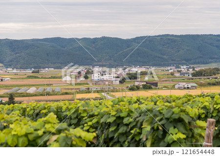 【富良野市カンパーナ六花亭　ぶどう畑と十勝岳連峰の裾野】 121654448