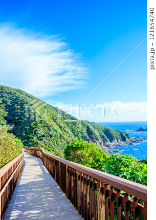 秋の佐多岬　遊歩道　鹿児島県南大隅町 121654740