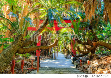 秋の御崎神社 鹿児島県南大隅町 秋の御崎神社 鹿児島県南大隅町 121654892