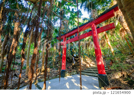 秋の御崎神社 鹿児島県南大隅町 秋の御崎神社 鹿児島県南大隅町 121654900