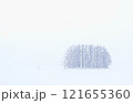 雪景色と並木 121655360
