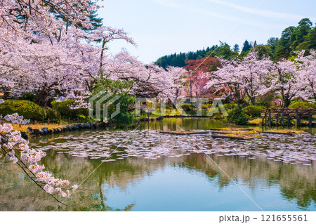 村松公園の桜 村松公園の桜 121655561