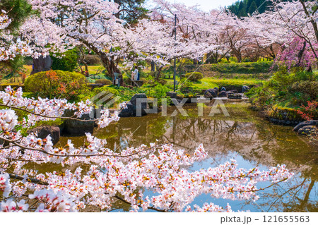 村松公園の桜 121655563