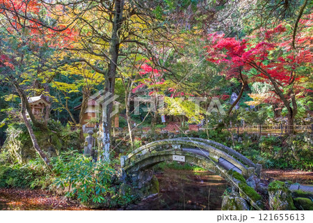 聖宝寺　庭園　鳴谷山聖宝寺　紅葉の名所　いなべ市　三重県 121655613