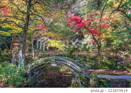 聖宝寺　庭園　鳴谷山聖宝寺　紅葉の名所　いなべ市　三重県 121655614